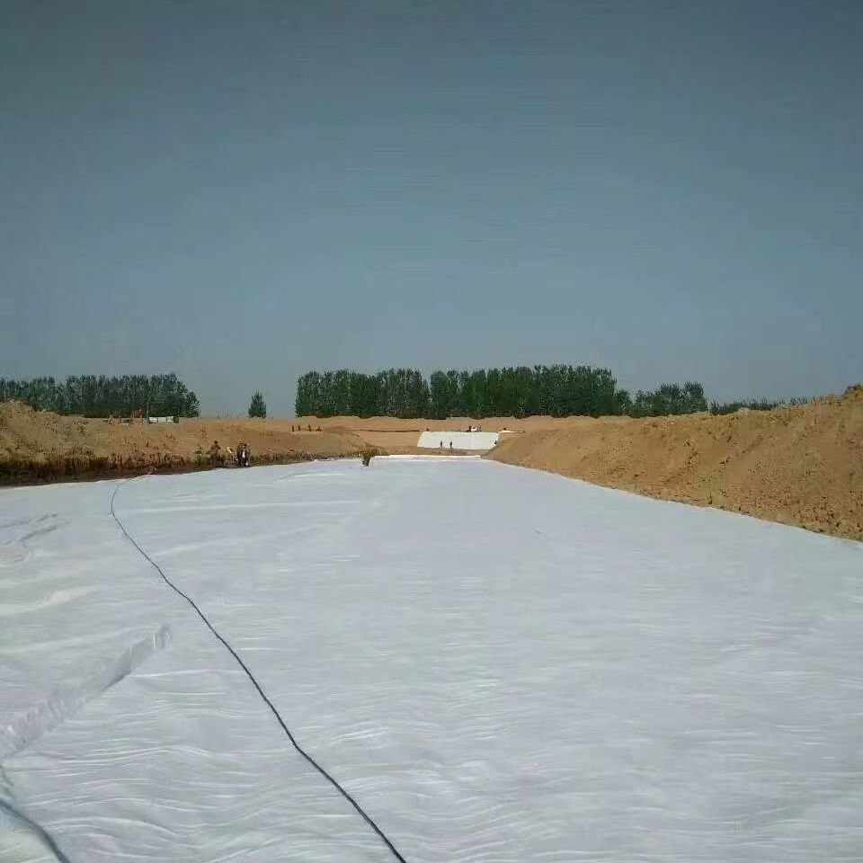 Composite Geomembrane