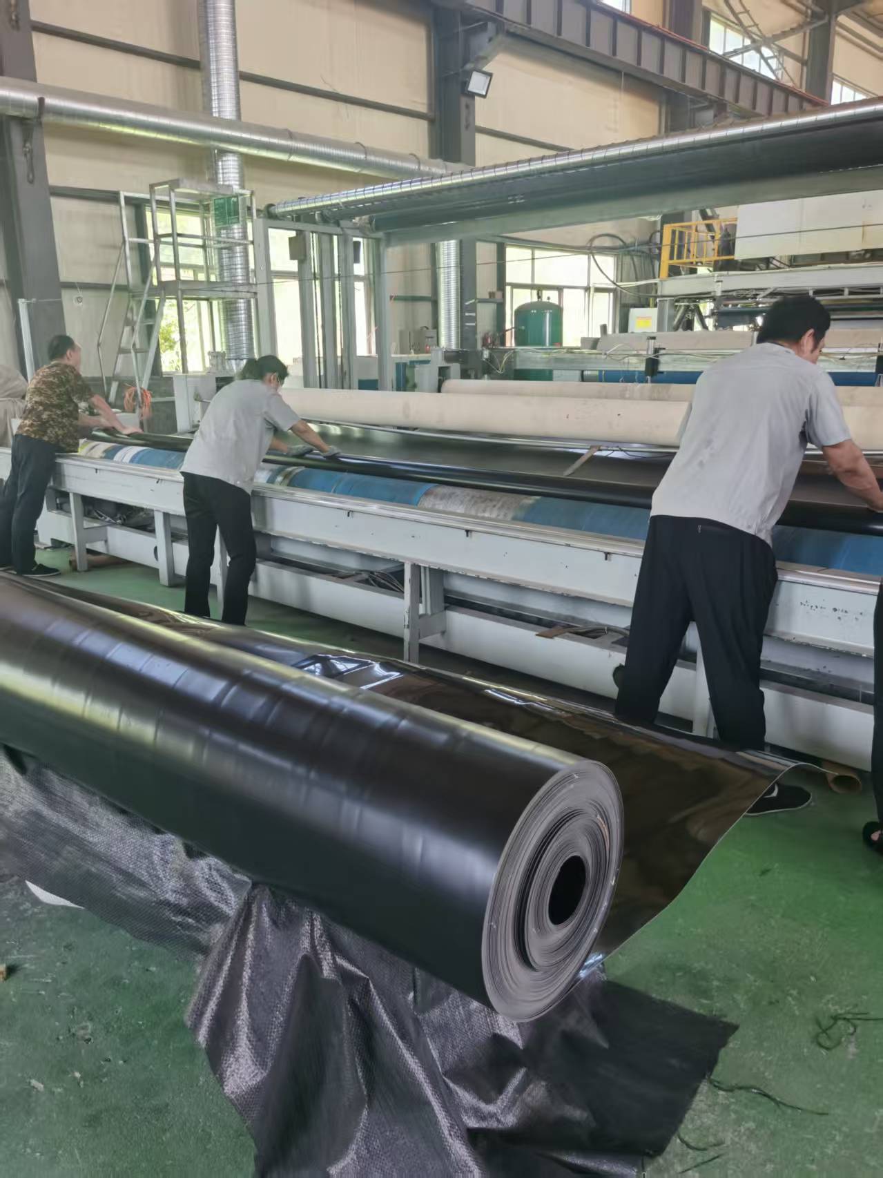 Anti-seepage geomembrane