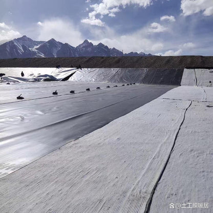 Anti-seepage geomembrane