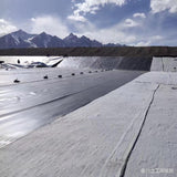Anti-seepage geomembrane