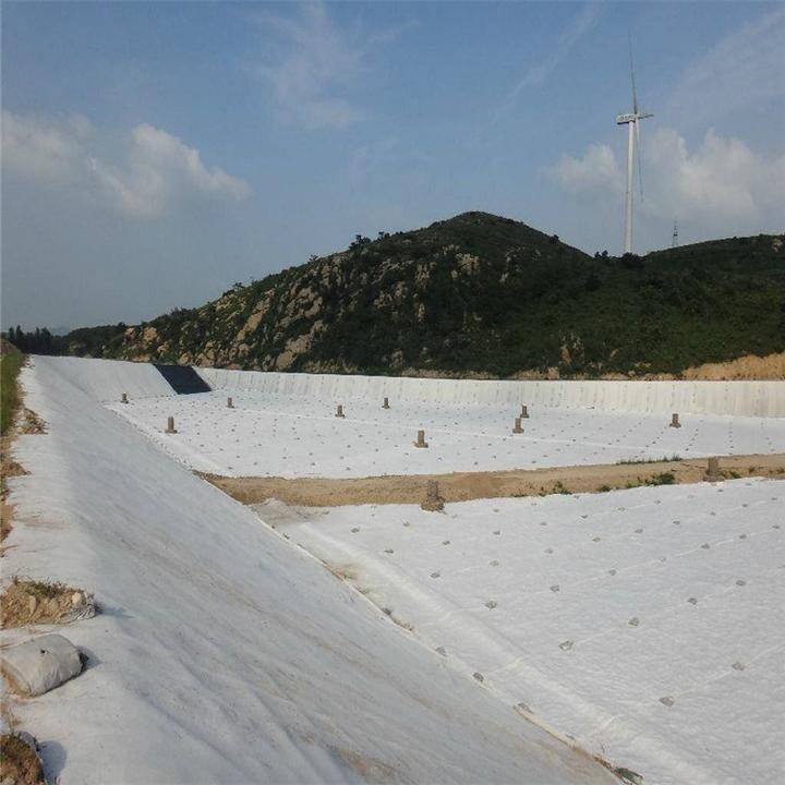 Composite Geomembrane