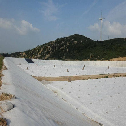 Composite Geomembrane